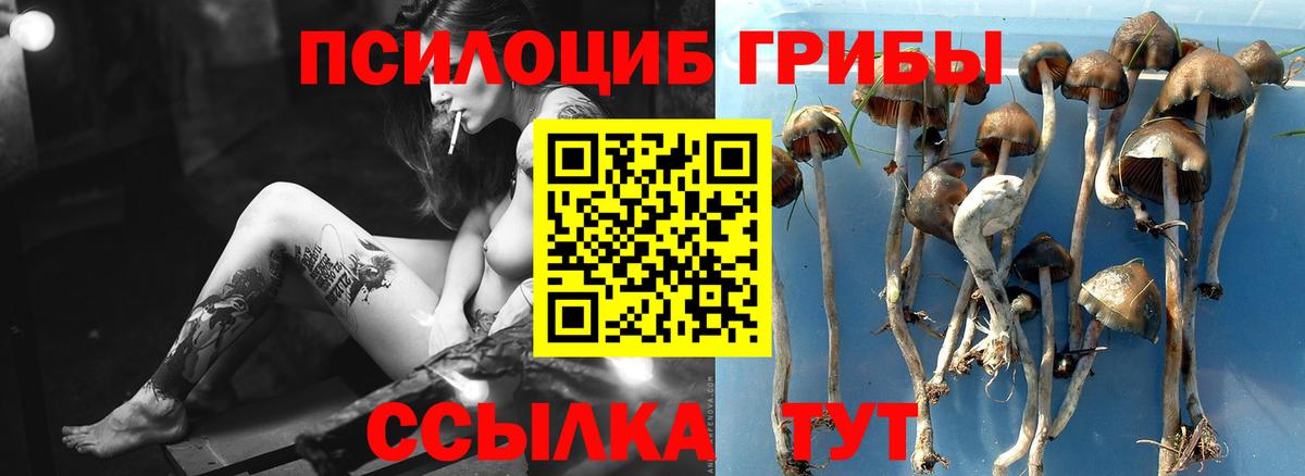 Галлюциногенные грибы мухоморы Выкса