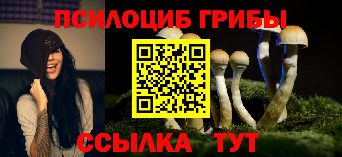 Псилоцибиновые грибы Psilocybe  Вход с VPN  продажа наркотиков  Псилоцибиновые грибы GOLDEN TEACHER  Выкса 